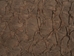 Suede Carp Leather: Medium Chocolate  - 870-4S-02A (8UL31)