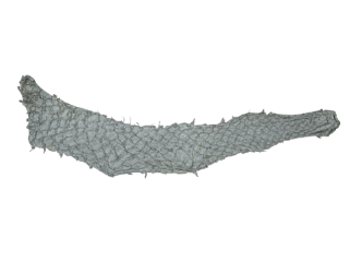 Suede Carp Leather: Gray 