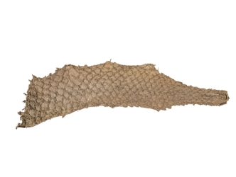 Suede Carp Leather: Dark Driftwood 