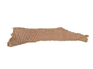 Suede Carp Leather: Shrimp Cocktail 