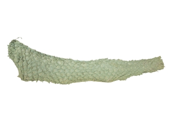 Suede Carp Leather: Sahara 