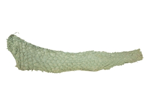 Suede Carp Leather: Sahara 