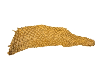 Suede Carp Leather: Goldfish 