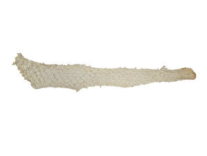 Suede Carp Leather: White 