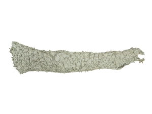 Suede Carp Leather: Very Light Green 