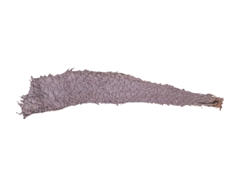 Suede Carp Leather: Lavender 