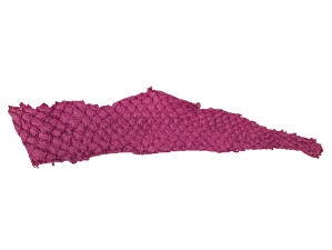 Suede Carp Leather: Rose 