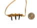 Real Iroquois Coyote Claw Necklace: 3-Claw - 368-603 (Y2KC01)