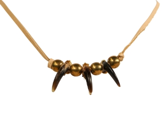 Real Iroquois Coyote Claw Necklace: 3-Claw 