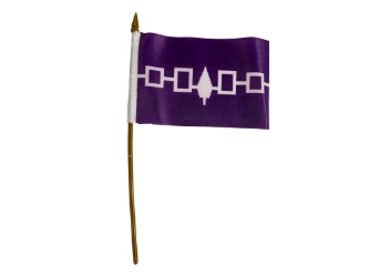 Hiawatha Flag: 4x6" iroquois confederacy