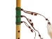 Decorated Flute - 60-DF (Y1FRB)