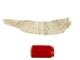 Carp Skin - 870-4N (Y2KC13)