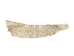 Carp Skin - 870-4N (Y2KC13)