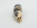 Yup'ik Walrus Ivory Carving: Gallery Item - 1000-G11-C (Y3KRI)
