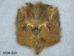 Wild Boar Bag: Gallery Item - 1029-G01 (Y2PRI)