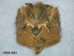Wild Boar Bag: Gallery Item - 1029-G01 (YT2)