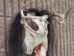 Iroquois Mask: Gallery Item - 1045-G001 (Y2D)