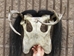 Iroquois Mask: Gallery Item - 1045-G001 (10UF)