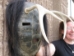 Iroquois Mask: Gallery Item - 1045-G002 (Y2D)