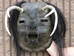 Iroquois Mask: Gallery Item - 1045-G002 (10UF)
