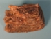 Mammoth Tooth: Gallery Item - 1060-10-G100 (Y1FRL)