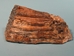 Mammoth Tooth: Gallery Item - 1060-10-G101 (Y1F)
