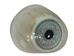 Antique Prosthetic Glass Eye: Gallery Item - 1095-G05 (10URM1)