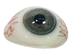 Antique Prosthetic Glass Eye: Gallery Item - 1095-G06 (10URM1)
