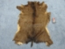 Japanese Sika Deer: Gallery Item - 1102-G01 (Y1GRB)