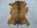 Japanese Sika Deer: Gallery Item - 1102-G01 (Y1GRB)