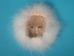 Alaska Seal Skin Mask: Gallery Item - 111-G1 (Y1MC08)
