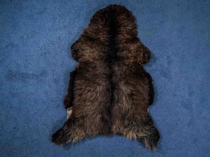Racka Sheepskin: Gray: Gallery Item 