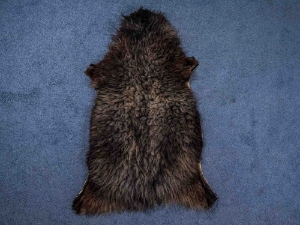 Racka Sheepskin: Gray: Gallery Item 
