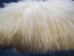 UK Sheepskin: 100-110 cm: White: Gallery Item - 1218-101-G02 (Y2GRR)