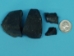 Fossil Whale Ear Bone: Gallery Item - 1231-10-G13268 (Y2IC06)