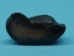 Fossil Whale Ear Bone: Gallery Item - 1231-10-G13268 (Y2IC06)