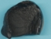 Fossil Whale Ear Bone: Gallery Item - 1231-10-G13272 (Y2IC06)