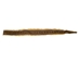 Prairie Rattlesnake Skin: Gallery Item - 1282-SKI-G04 (L32)
