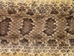 Prairie Rattlesnake Skin: Gallery Item - 1282-SKI-G05 (L32)