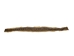 Prairie Rattlesnake Skin: Gallery Item - 1282-SKI-G05 (L32)