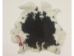 Heavy Low Grade A Czech Female Rabbit Skin: Gallery Item - 140-HVN-A-G1657 (Y2FXX)
