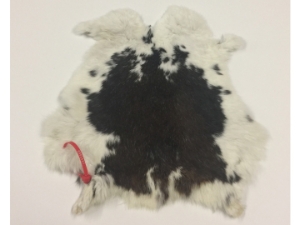 Heavy Low Grade A Czech Female Rabbit Skin: Gallery Item 