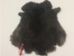 Heavy Low Grade A Czech Female Rabbit Skin: Gallery Item - 140-HVN-A-G1660 (Y3L)