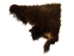 Craft Grade Buffalo Hide Piece: Gallery Item - 149-CR-GP20C (Y2FXX)
