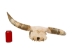 Steer Skull with Horns: Gallery Item - 15-217-G04 (Y1K)