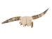 Steer Skull with Horns: Gallery Item - 15-217-G04 (Y1K)