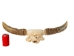 Weathered Steer Skull with Horns: Gallery Item - 15-217-W-G13 (Y3HRH)