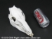 Wild Boar Skull with tusks: Gallery Item - 15-223-G06 (Y2PRJ)