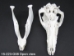 Wild Boar Skull with tusks: Gallery Item - 15-223-G08 (Y2PRJ)