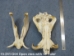 Warthog Skull: Gallery Item - 15-241-G04 (Y2PRF)